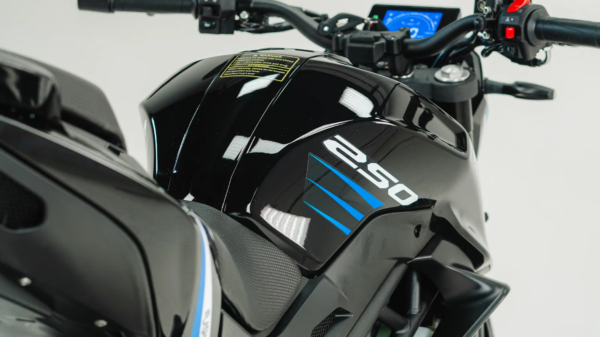 250F - Image 7